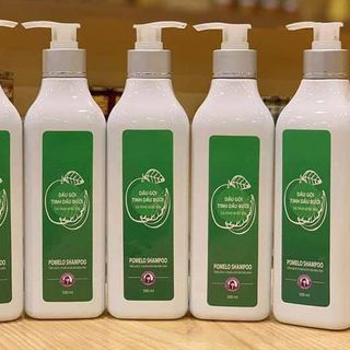 Dầu gội bưởi ngăn rụng tóc 500ml