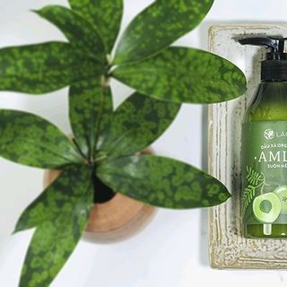 Dầu Xả Amla Ngăn Rụng Tóc Và Kích Thích Mọc Tóc