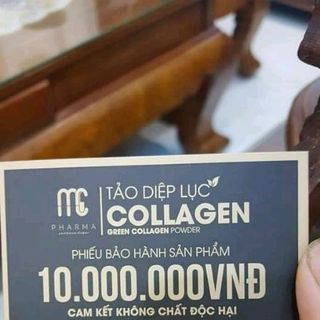 tảo mc