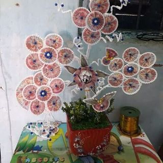 cây tiền tài lộc tán xòe