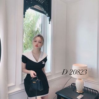 ĐẦM NGẮN CỔ THỦY THỦ