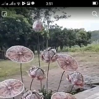 Hoa sen tài lộc bằng tiền giấy