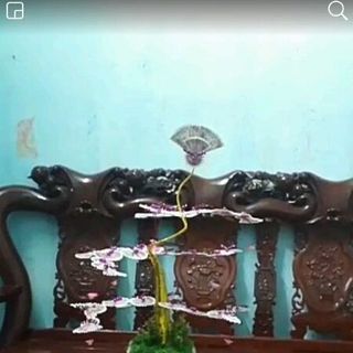 cây tiền tài lộc dáng long trực quả ngọc
