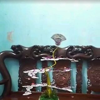 cây tiền tài lộc dáng long trực quả ngọc