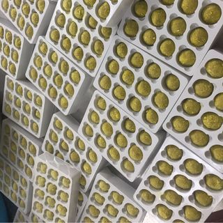 Khoai môn lệ phố Ngọc Bích