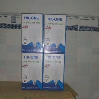 bóng led trụ HK-ONE 30w