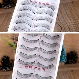 hộp lông mi 10 cặp