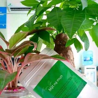 MẶT NẠ TRỊ MỤN