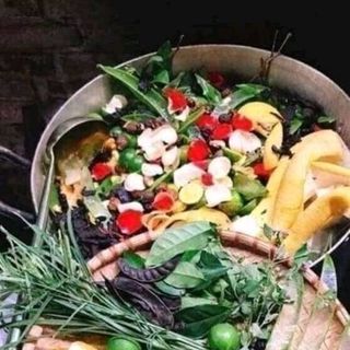 Dầu gội thảo dược