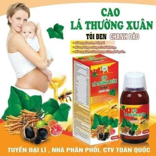 CAO HOCAO LÁ THƯỜNG XUÂN Chanh đào tỏi đen giá sỉ