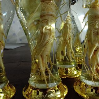 BÌNH ĐIÊU KHẮC PHÚ HÒA NGÂM NHÂN SÂM TƯƠI HÀN QUỐC LOẠI BÌNH 2 LÍT