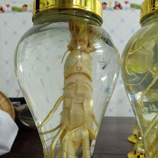 BÌNH ĐIÊU KHẮC PHÚ HÒA NGÂM NHÂN SÂM TƯƠI HÀN QUỐC LOẠI BÌNH 2 LÍT