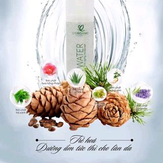 XỊT KHOÁNG LAVENDER HÀN QUỐC