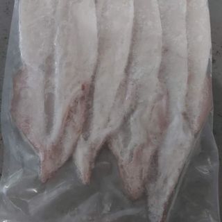 Mực 1 nắng đi câu trong ngày