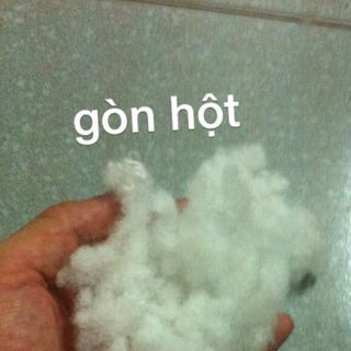 Gòn xơ gòn trái gòn xịn