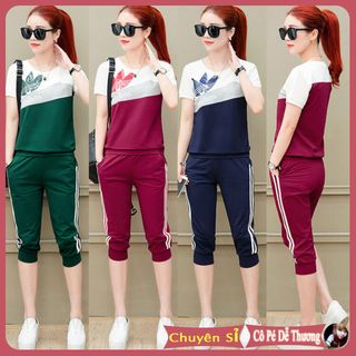 sét lửng bộ thể thao nữ 100 COTTON mịn áo ngắn tay cổ tròn thu đông cao cấp thời trang 2019 giá sỉ