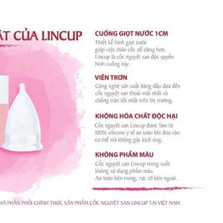 cốc nguyệt san lincup