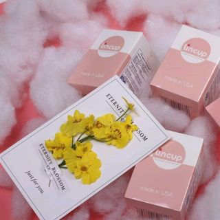 cốc nguyệt san lincup
