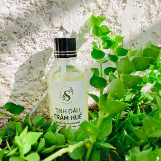 Tinh Dầu Tràm Huế 50ml