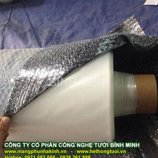 Có 1000m2 trồng rau sạch trong nhà lưới công nghệ nhà màng trong sản xuất rau sạch