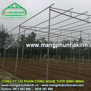 Có 1000m2 trồng rau sạch trong nhà lưới công nghệ nhà màng trong sản xuất rau sạch
