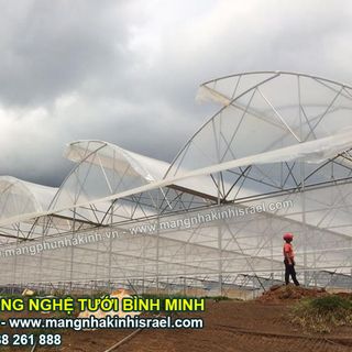 Có 1000m2 trồng rau sạch trong nhà lưới công nghệ nhà màng trong sản xuất rau sạch