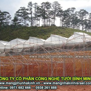 Có 1000m2 trồng rau sạch trong nhà lưới công nghệ nhà màng trong sản xuất rau sạch