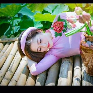 áo trơn học sinh