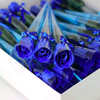 Hoa hồng sáp thơm nguyên cây mẫu y hình