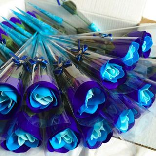 Hoa hồng sáp thơm nguyên cây mẫu y hình