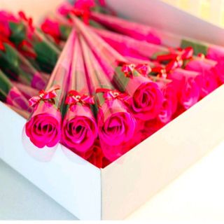Hoa hồng sáp thơm nguyên cây mẫu y hình