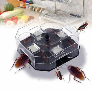 Máy bắt gián côn trùng thông minh