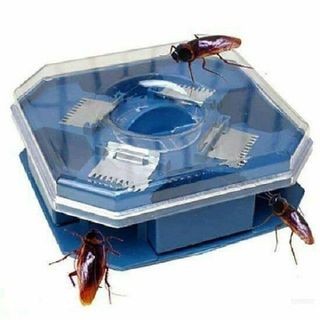 Máy bắt gián côn trùng thông minh