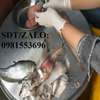 Chả cá thác lác tự nhiên Hà Nội