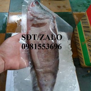 Cá thác lác rút xương Hà nội