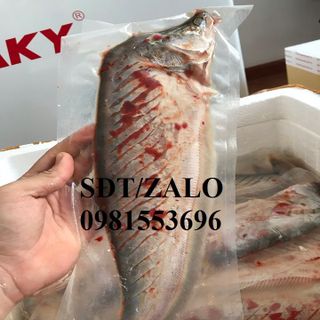 Cá thác lác rút xương Hà nội
