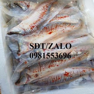 Cá thác lác rút xương Hà nội