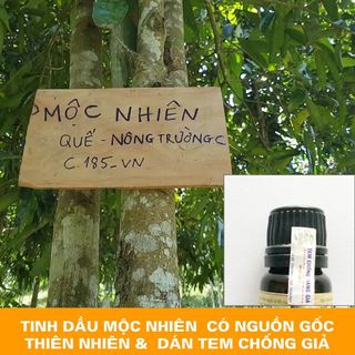 TINH DẦU SẢ CHANHQUẾBẠC HÀTRÀM 100ML NHIỀU MÙI CÓ TEM CHỐNG HÀNG GIẢ
