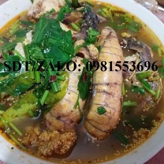 Trứng Cá Ngừ - Hà Nội và các tỉnh phía bắc
