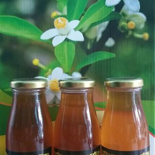 Mật Ong Hoa Rừng 500ml