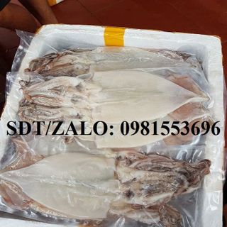 Mực 1 nắng