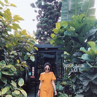 ĐẦM LỤA CẮT VIỀN