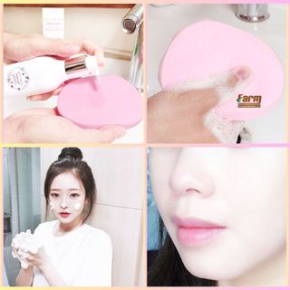 Bọt Biển Rửa Mặt Korea