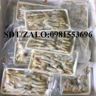 Ruột ốc móng tay