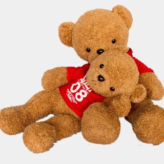 Gấu Bông Teddy Nâu Mặc Áo Đỏ Số 08 90cm Cực Đáng Yêu giá sỉ