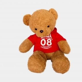 Gấu Bông Teddy Nâu Mặc Áo Đỏ Số 08 1m2cm Cực Đáng Yêu giá sỉ