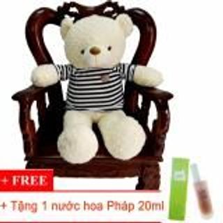 Gấu bông Teddy cao cấp áo thun màu kem 1m2Tặng 1 nước hoa Pháp 20ml-TEDDYKT1COMBO1nhà bán hàng Diabrand giá sỉ