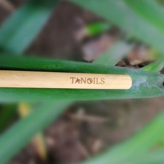 Ống hút cỏ sậy khô size coffee - Grass Straws size coffee