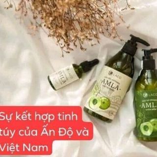 đầu gội trị rụng tóckích mọc tóc Amla giá sỉ