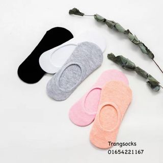 Sỉ tất lười nữ